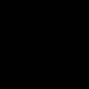 Meet your Posher, Spiffy